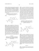 SUBSTITUTED ISOQUINOLINONES AND QUINAZOLINONES diagram and image