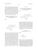 SUBSTITUTED ISOQUINOLINONES AND QUINAZOLINONES diagram and image