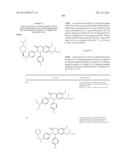 SUBSTITUTED ISOQUINOLINONES AND QUINAZOLINONES diagram and image