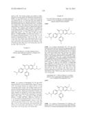 SUBSTITUTED ISOQUINOLINONES AND QUINAZOLINONES diagram and image