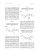 SUBSTITUTED ISOQUINOLINONES AND QUINAZOLINONES diagram and image