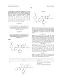 SUBSTITUTED ISOQUINOLINONES AND QUINAZOLINONES diagram and image