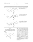 SUBSTITUTED ISOQUINOLINONES AND QUINAZOLINONES diagram and image