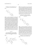 SUBSTITUTED ISOQUINOLINONES AND QUINAZOLINONES diagram and image