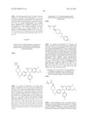 SUBSTITUTED ISOQUINOLINONES AND QUINAZOLINONES diagram and image