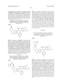 SUBSTITUTED ISOQUINOLINONES AND QUINAZOLINONES diagram and image