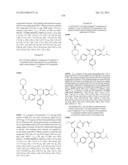 SUBSTITUTED ISOQUINOLINONES AND QUINAZOLINONES diagram and image