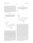 SUBSTITUTED ISOQUINOLINONES AND QUINAZOLINONES diagram and image