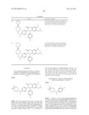 SUBSTITUTED ISOQUINOLINONES AND QUINAZOLINONES diagram and image