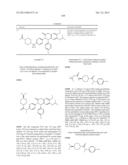 SUBSTITUTED ISOQUINOLINONES AND QUINAZOLINONES diagram and image