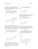 SUBSTITUTED ISOQUINOLINONES AND QUINAZOLINONES diagram and image