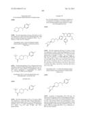 SUBSTITUTED ISOQUINOLINONES AND QUINAZOLINONES diagram and image