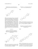 SUBSTITUTED ISOQUINOLINONES AND QUINAZOLINONES diagram and image