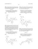 SUBSTITUTED ISOQUINOLINONES AND QUINAZOLINONES diagram and image