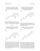 SUBSTITUTED ISOQUINOLINONES AND QUINAZOLINONES diagram and image