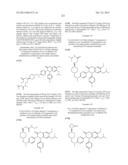 SUBSTITUTED ISOQUINOLINONES AND QUINAZOLINONES diagram and image