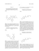 SUBSTITUTED ISOQUINOLINONES AND QUINAZOLINONES diagram and image