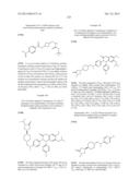 SUBSTITUTED ISOQUINOLINONES AND QUINAZOLINONES diagram and image