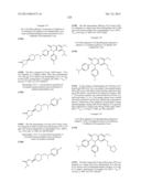 SUBSTITUTED ISOQUINOLINONES AND QUINAZOLINONES diagram and image