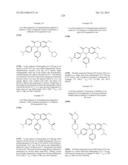 SUBSTITUTED ISOQUINOLINONES AND QUINAZOLINONES diagram and image