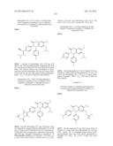 SUBSTITUTED ISOQUINOLINONES AND QUINAZOLINONES diagram and image