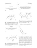 SUBSTITUTED ISOQUINOLINONES AND QUINAZOLINONES diagram and image