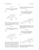 SUBSTITUTED ISOQUINOLINONES AND QUINAZOLINONES diagram and image