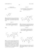 SUBSTITUTED ISOQUINOLINONES AND QUINAZOLINONES diagram and image