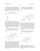 SUBSTITUTED ISOQUINOLINONES AND QUINAZOLINONES diagram and image