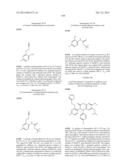 SUBSTITUTED ISOQUINOLINONES AND QUINAZOLINONES diagram and image