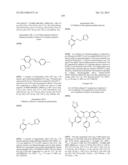 SUBSTITUTED ISOQUINOLINONES AND QUINAZOLINONES diagram and image