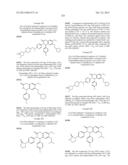 SUBSTITUTED ISOQUINOLINONES AND QUINAZOLINONES diagram and image