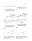 SUBSTITUTED ISOQUINOLINONES AND QUINAZOLINONES diagram and image