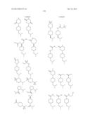 SUBSTITUTED ISOQUINOLINONES AND QUINAZOLINONES diagram and image