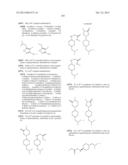 SUBSTITUTED ISOQUINOLINONES AND QUINAZOLINONES diagram and image