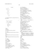 SUBSTITUTED ISOQUINOLINONES AND QUINAZOLINONES diagram and image