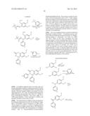 SUBSTITUTED ISOQUINOLINONES AND QUINAZOLINONES diagram and image