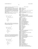 SUBSTITUTED ISOQUINOLINONES AND QUINAZOLINONES diagram and image