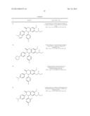 SUBSTITUTED ISOQUINOLINONES AND QUINAZOLINONES diagram and image