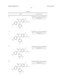 SUBSTITUTED ISOQUINOLINONES AND QUINAZOLINONES diagram and image