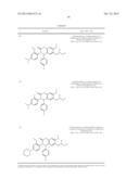 SUBSTITUTED ISOQUINOLINONES AND QUINAZOLINONES diagram and image