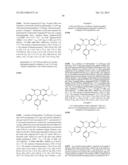 SUBSTITUTED ISOQUINOLINONES AND QUINAZOLINONES diagram and image