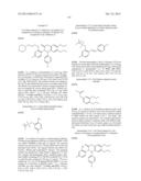 SUBSTITUTED ISOQUINOLINONES AND QUINAZOLINONES diagram and image