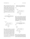 SUBSTITUTED ISOQUINOLINONES AND QUINAZOLINONES diagram and image