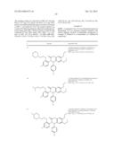 SUBSTITUTED ISOQUINOLINONES AND QUINAZOLINONES diagram and image