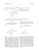 SUBSTITUTED ISOQUINOLINONES AND QUINAZOLINONES diagram and image