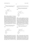 SUBSTITUTED ISOQUINOLINONES AND QUINAZOLINONES diagram and image