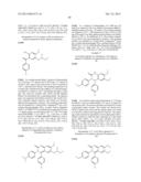 SUBSTITUTED ISOQUINOLINONES AND QUINAZOLINONES diagram and image