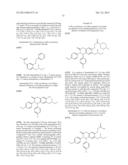 SUBSTITUTED ISOQUINOLINONES AND QUINAZOLINONES diagram and image