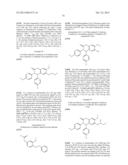 SUBSTITUTED ISOQUINOLINONES AND QUINAZOLINONES diagram and image